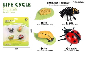 PVC katı simülasyon böcek oyuncak büyüme döngüsü yaşam modeli eğitim öğretim araçları kelebek arı çocuk oyuncak - Product Image 5