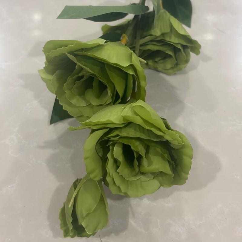 Menthe
