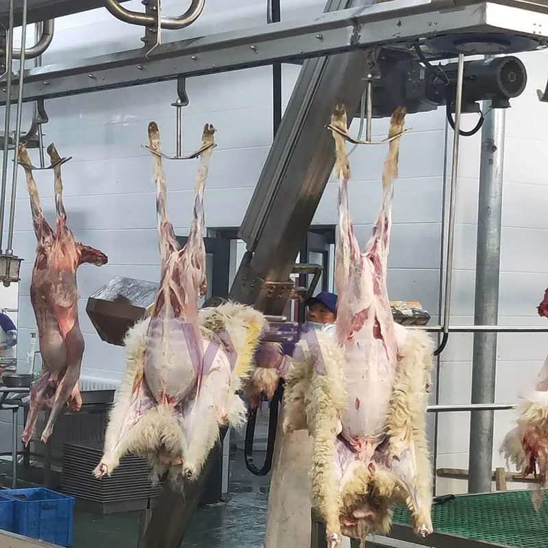 할랄 양고기 정육점 고기 도축 공장을위한 의식 염소 도살장 양고기 양 도축 기계