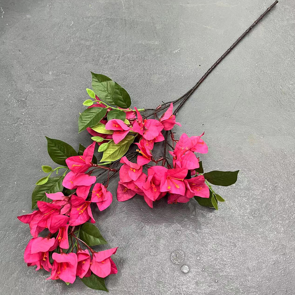 Petite taille rose rouge