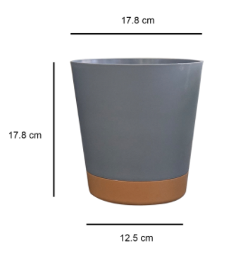 178mm(7.01in)