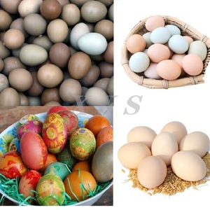 Einstufung Reinigungsmaschine zu verkaufen Eier Codierung Pinsel Ei waschen und sortieren Maschine - Product Image 6