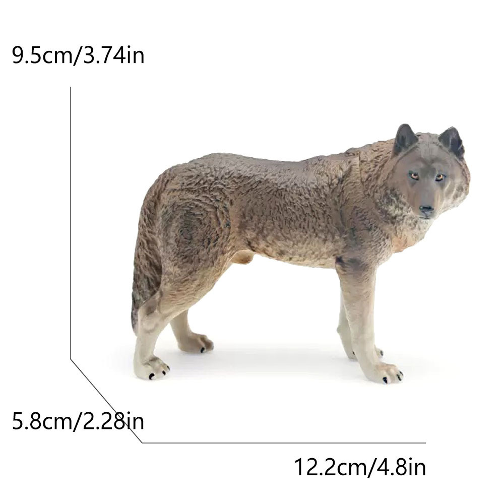2516 loup vert-2026g