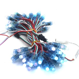 RGB светодиодные пиксельные световые струны DC5V индивидуально адресуемые 12 мм круглые модули водонепроницаемые полноцветные с IP68 рейтингом ПВХ корпус