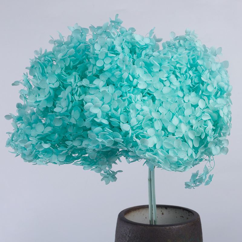 Bleu Tiffany