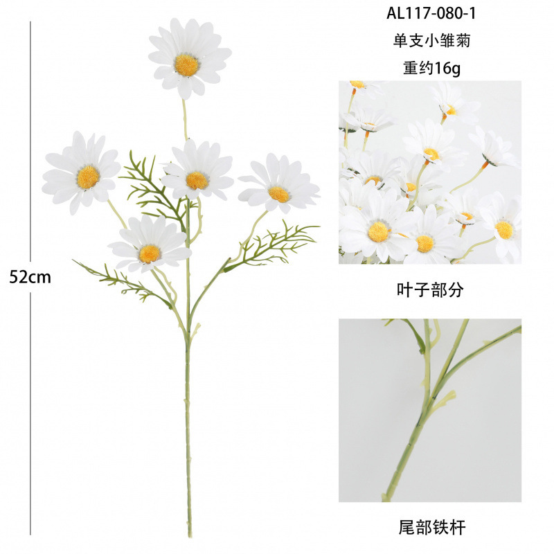 5 petites marguerites blanches