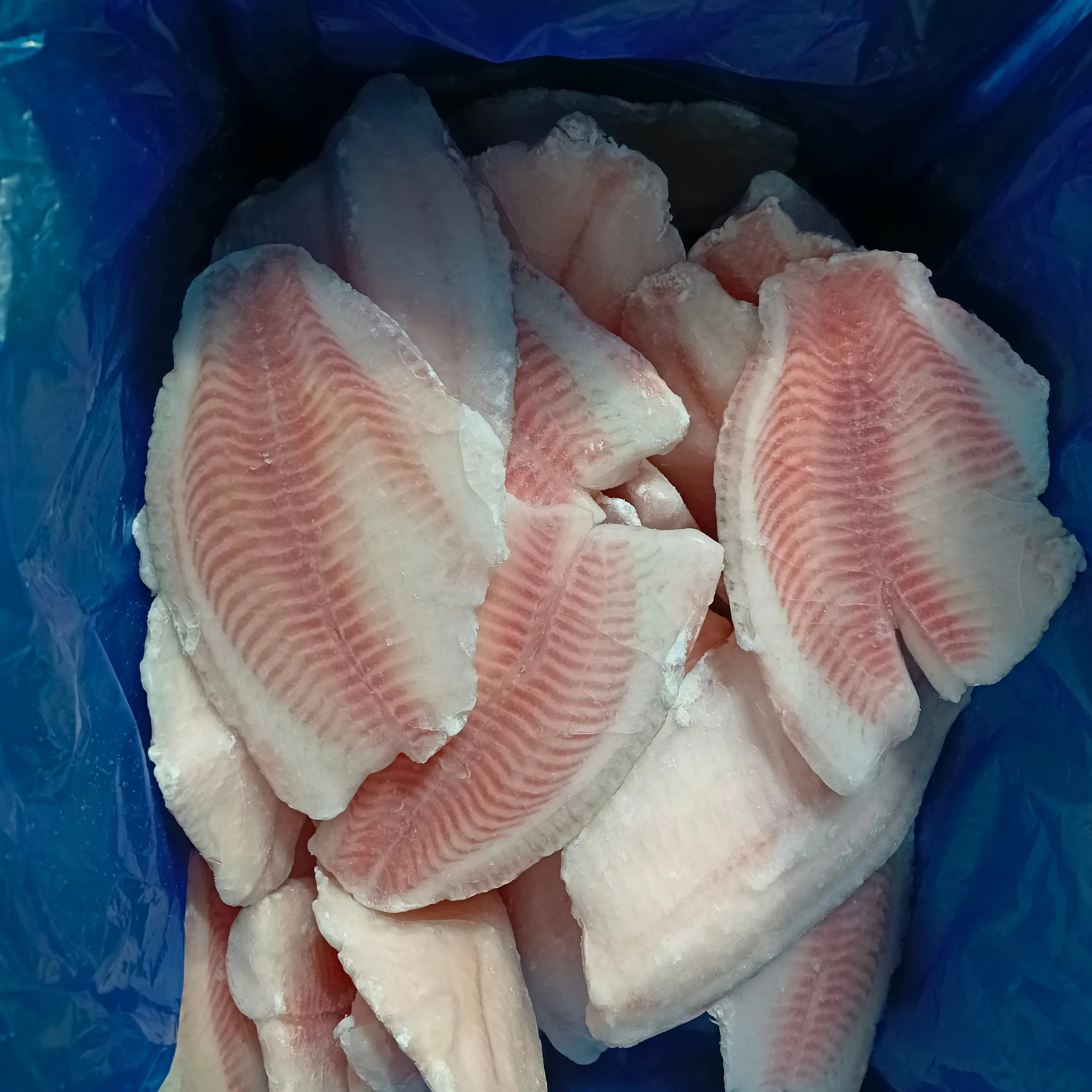 Avp cartone imballaggio filetto di pesce Tilapia congelato IQF tilapia filetto di pesce