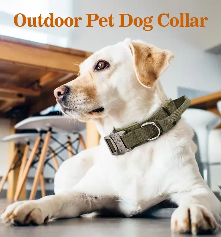 Heavy Duty Metal Buckle Pet Dog Training Collar Large Dogs Collar And Leash Set Tactical Dog Collar