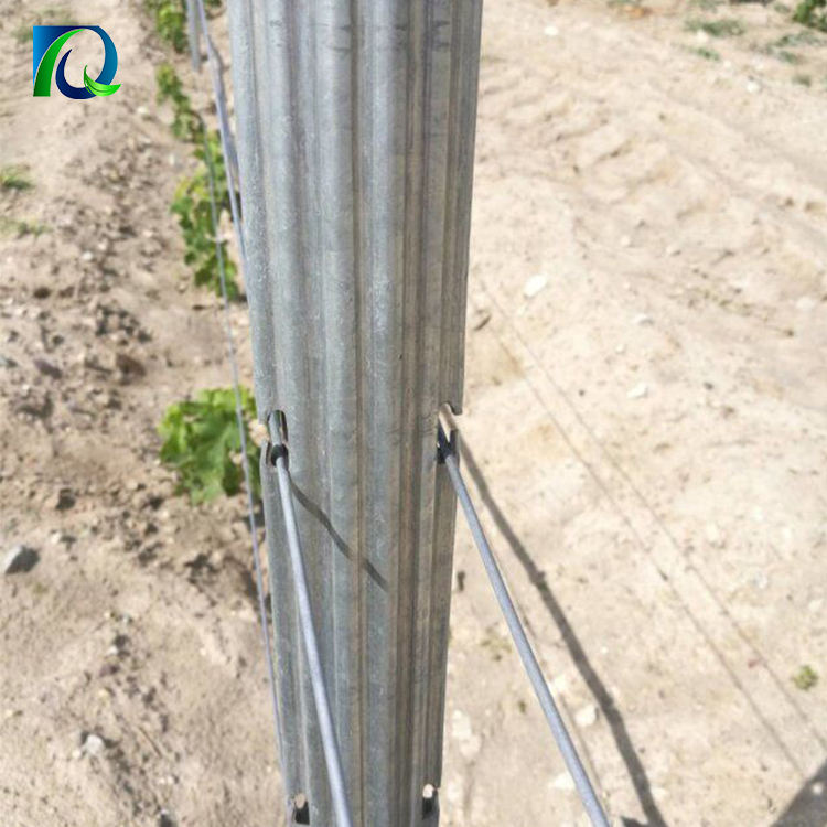 Hot dipped Galvanized