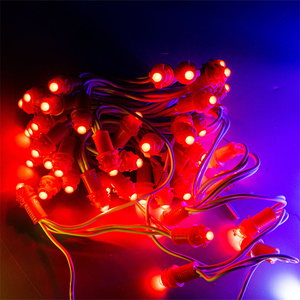 2023 caldo ws2811 12v pixel blu-rosso linea pixel led esterno ws2811 RGBW led luce dumb nodi LED modulo Led stringa di luce - Product Image 1