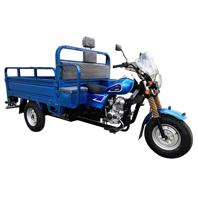 Novo produto chegou triciclo carregador pesado caixa de carga grande com corpo grosso azul