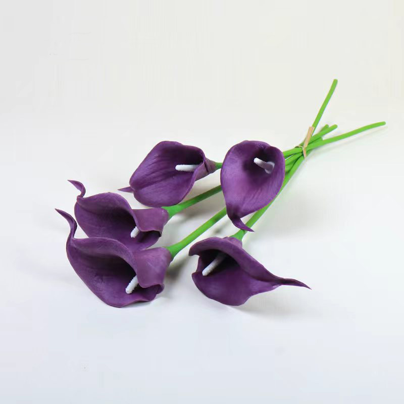 Konjac morado (núcleo blanco)