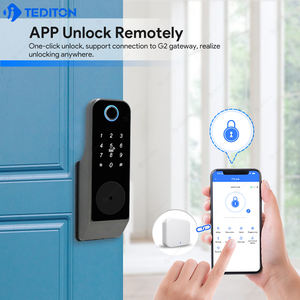 Tediton porta principale ingresso cancello elettrico intelligente serratura della porta lavoro con ALEXA Google Home serratura elettronica del cerchio - Product Image 3