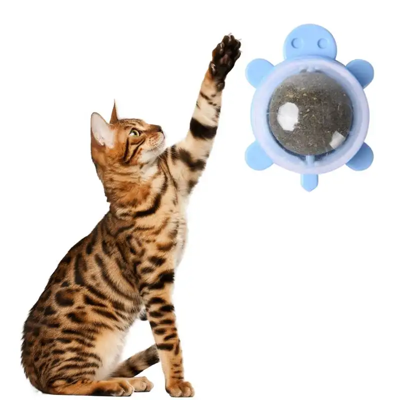 고양이 핥기 치아 청소를위한 벽 공 회전 고양이 치료 개박하 장난감