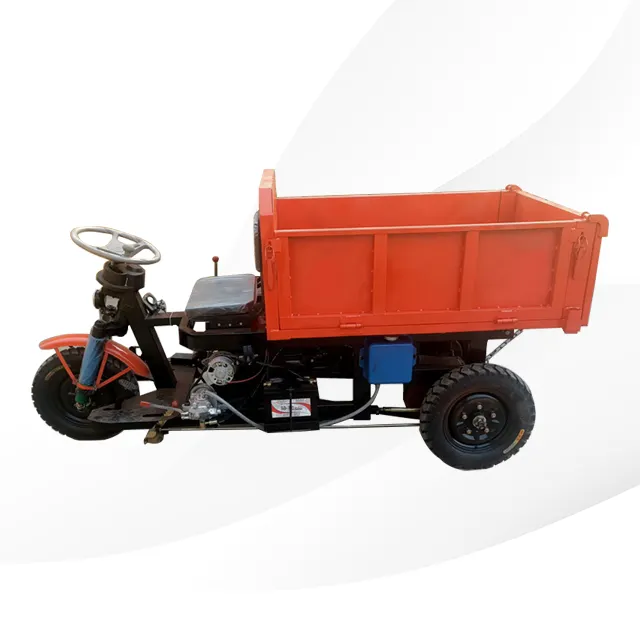 Động cơ điện hàng hóa ba bánh ba bánh xe chở hàng xe máy xây dựng điện Dumper Mini Dumper