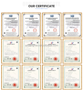 Stainless Steel Gas to Air <strong>Plate</strong> <strong>Heat</strong> <strong>Exchanger</strong> Corrosion Resistant and High Thermal Efficiency