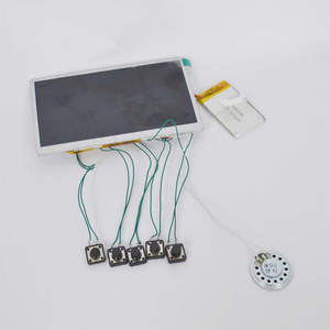 10.1 Inch <strong>Lcd</strong> Display <strong>Module</strong> with <strong>Lcd</strong> Screen and Function Buttons