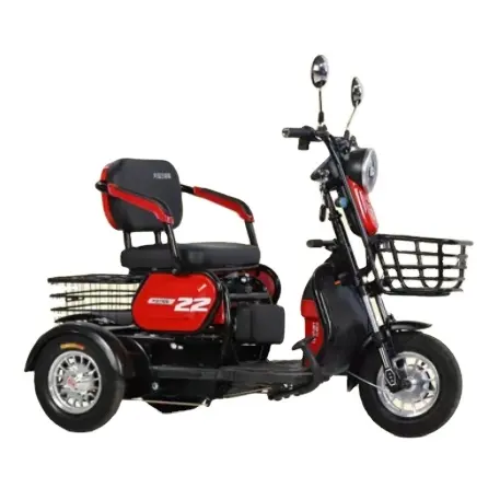 Hoge Editie 600W 48V Elektrische Driewieler Passagier Crossmotor Ev 3-wielige Motorfiets Motorcross Voor Volwassenen Gemotoriseerd Rijden