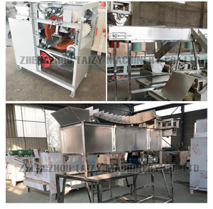Automatic Hazelnut <strong>Shelling</strong> <strong>Machine</strong> Pistachio <strong>Sorting</strong> Palm <strong>Kernel</strong> Crushing Peeling Processing Line - Product Image 6