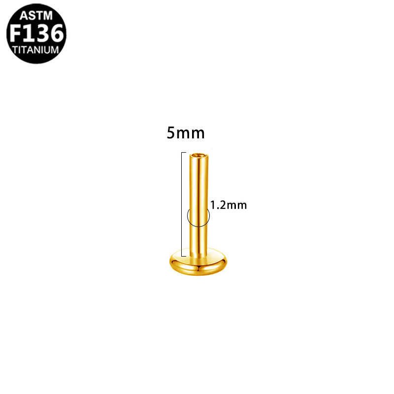 G23TP325-G120504