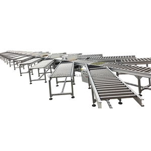 Transportador de mesa de rodillos de transmisión de cadena de doble fila motorizado de alto rendimiento para un manejo eficiente de materiales - Product Image 3