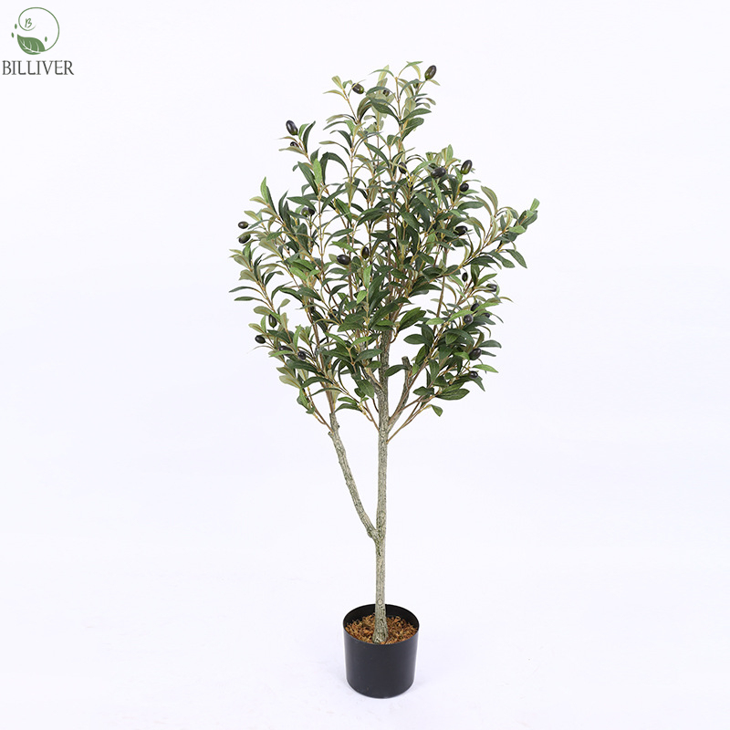 Olive1.2M