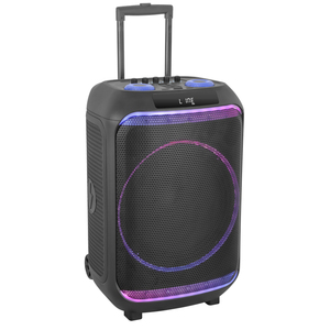 Hot Sale 2024 Active 12 Inch Creative Subwoofer 40W 2-Way Professional Multifunction RGB Flash Mobile Trolley <strong>Speaker</strong> for Sale - Product Image 3