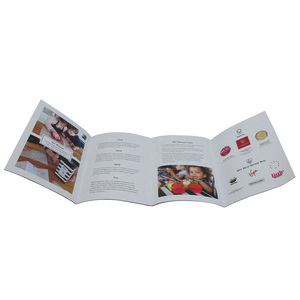 Custom 1-4 Color Printing A4 A5 A6 <strong>Brochure</strong> Leaflet Manual Printing