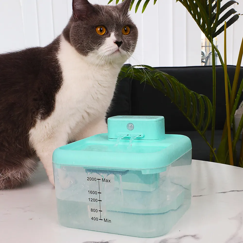 TIZE OEM ODM 2L 흐르는 물 자동 고양이 분수 셀프 클리닝 순환 시스템 필터 애완 동물 분수