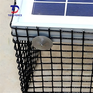 Solar Panel <strong>Mesh</strong> Used PVC Coated <strong>Wire</strong> or <strong>S</strong>.<strong>S</strong> <strong>Wire</strong> 6&quot;*30M <strong>Mesh</strong> Panel Welded Bird-Proofing <strong>Mesh</strong> for Pest Control - Product Image 6