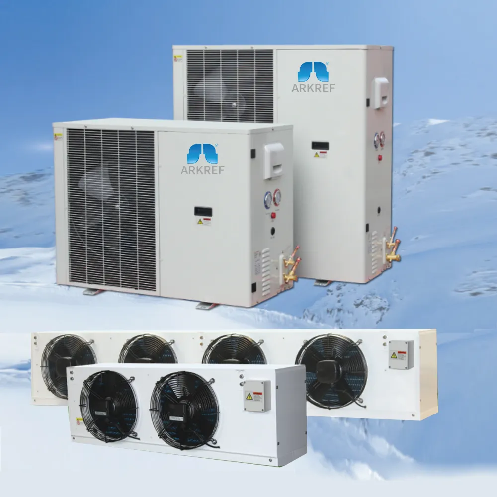 Monoblock R404A Unidad de condensación refrigerada por aire Unidad de refrigeración de conversión de frecuencia CC completa para sistema de refrigeración de almacenamiento de cámara fría