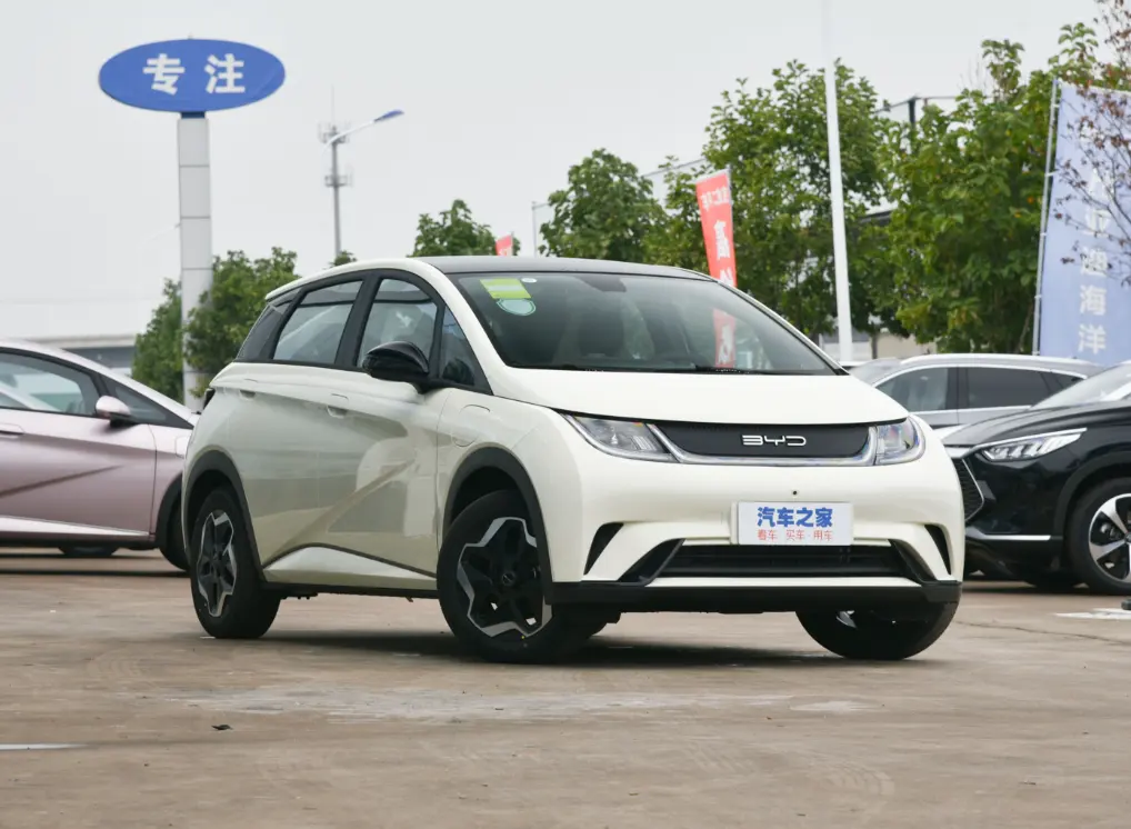 2024 voitures électriques BYD voiture électrique bon marché Automobile modèle complet Byd Dolphin 4 portes nouveaux véhicules énergétiques SUV électrique fabriqué en Chine