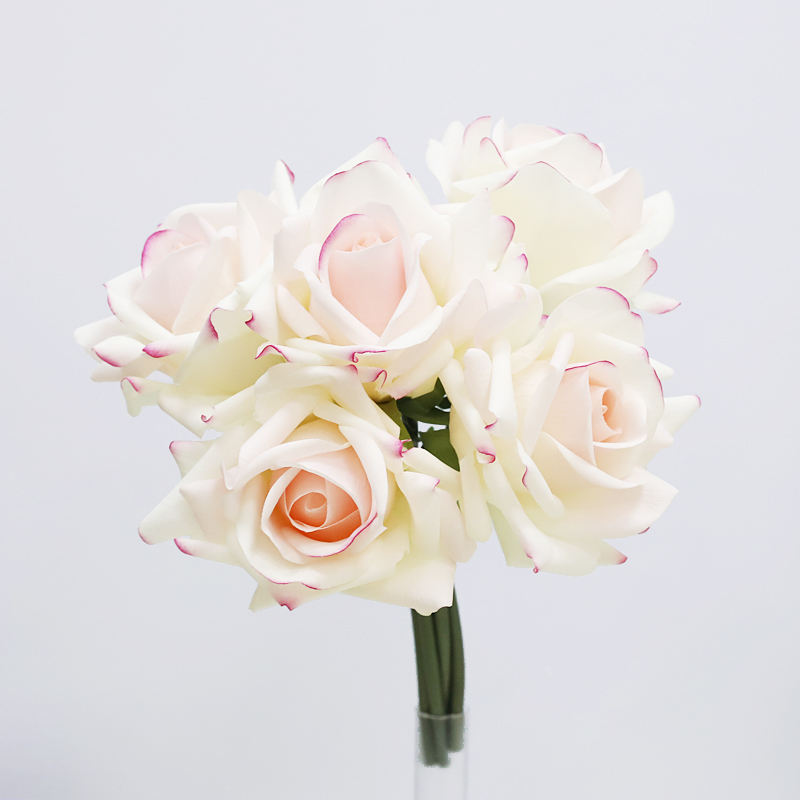 Blanc bordé de violet