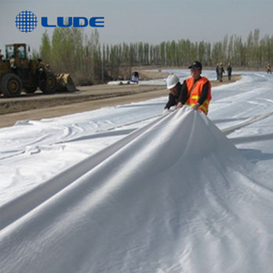 Đường thương hiệu vải địa kỹ thuật UV kháng trắng đen không dệt vải địa kỹ thuật <span class=keywords><strong>Polyester</strong></span> 350g 450g Filament vải địa kỹ thuật trong nông nghiệp - Product Image 6