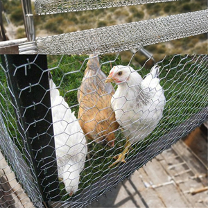 Hexagonal Wire <strong>Mesh</strong> <strong>1</strong>/2&quot; <strong>Mesh</strong>/ Poultry Wire <strong>Mesh</strong> <strong>1</strong>/2&quot; <strong>Mesh</strong> Chicken Coop Hexagonal Wire/ Small Hole <strong>Fence</strong> Chicken Wire - Product Image 4