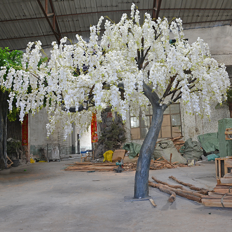 Glycine blanche