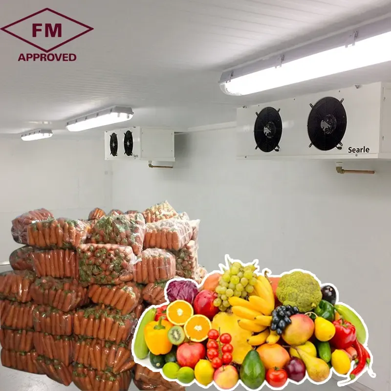FM aliments, fruits, banane, stockage froid, 1 pièce, usine directe, équipement de prix pour fabrication
