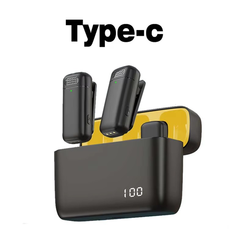 2 Microphones Type C