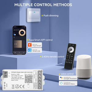 莱米热卖WiFi 2.4G推暗智能单色发光二极管条控制器，适用于DC 12V 24V 36V 48v脉宽调制单色发光二极管带 - Product Image 2