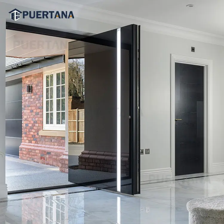 Portes d'entrée de luxe Entrée de sécurité Porte pivotante en verre noir en acier inoxydable avec lumière LED