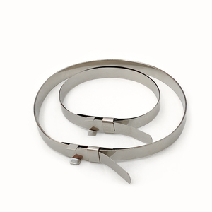 Có thể điều chỉnh thép không gỉ <span class=keywords><strong>CV</strong></span> Doanh khởi động nhanh chóng khóa ban nhạc kẹp trục Kìm Clip - Product Image 1