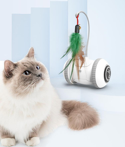 猫毛绒玩具猫狗自动鼠标玩具室内互动羽毛蜻蜓led球爪啦啦队婴儿