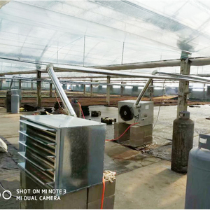 100000BTU <strong>Flue</strong> Gas Condensation Heat Recovery Gas Unit <strong>Heater</strong>, Suitable for Heating in Stores, Workshops and Warehouses