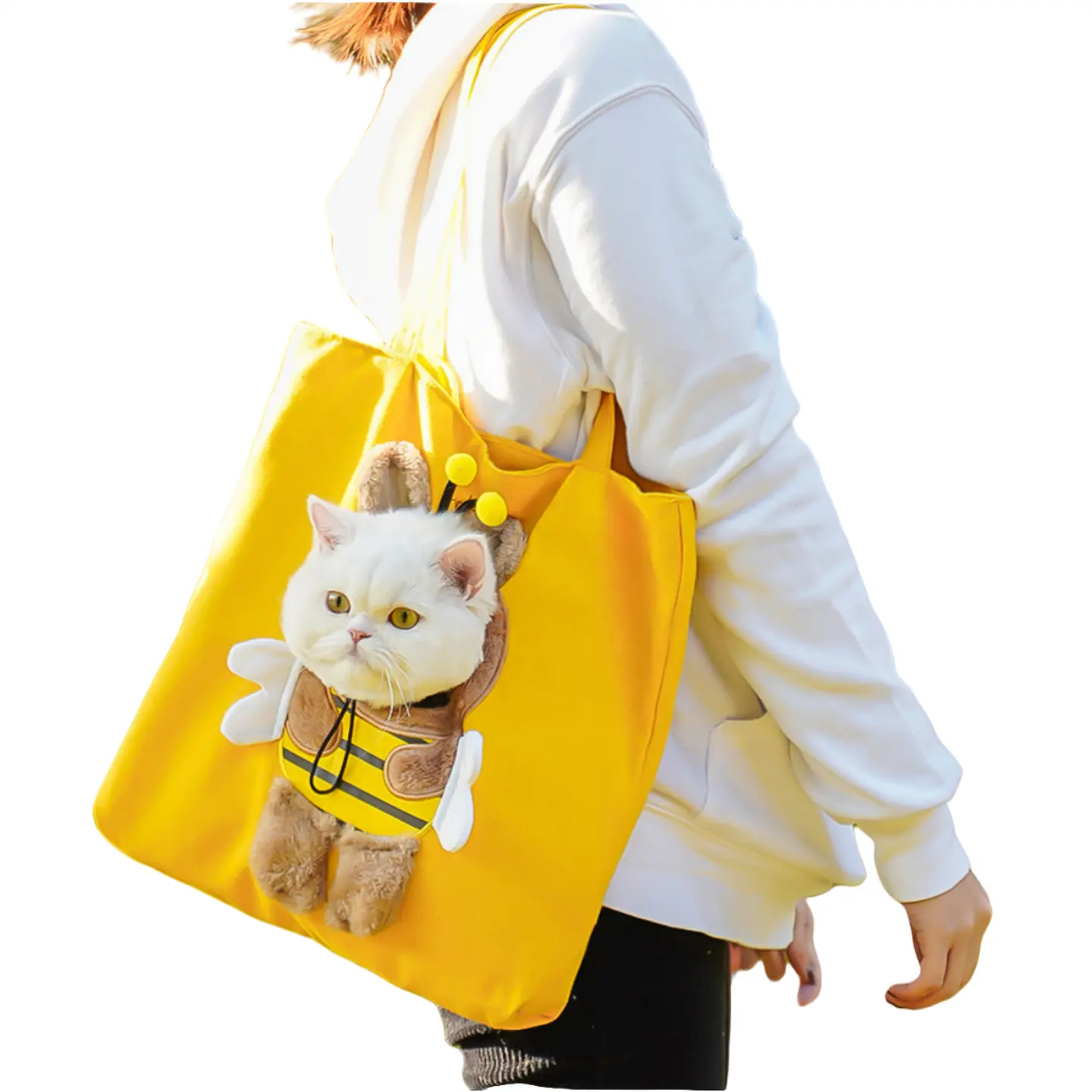 Lüks marka pet köpek taşıma çantası tasarımcı tuval açık kedi seyahat çantası yavru çanta