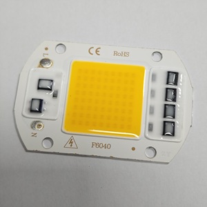 AC220V高压无驱动光源20w 30w 50w Cob发光二极管芯片发光二极管模块泛光灯驱动光源 - Product Image 1