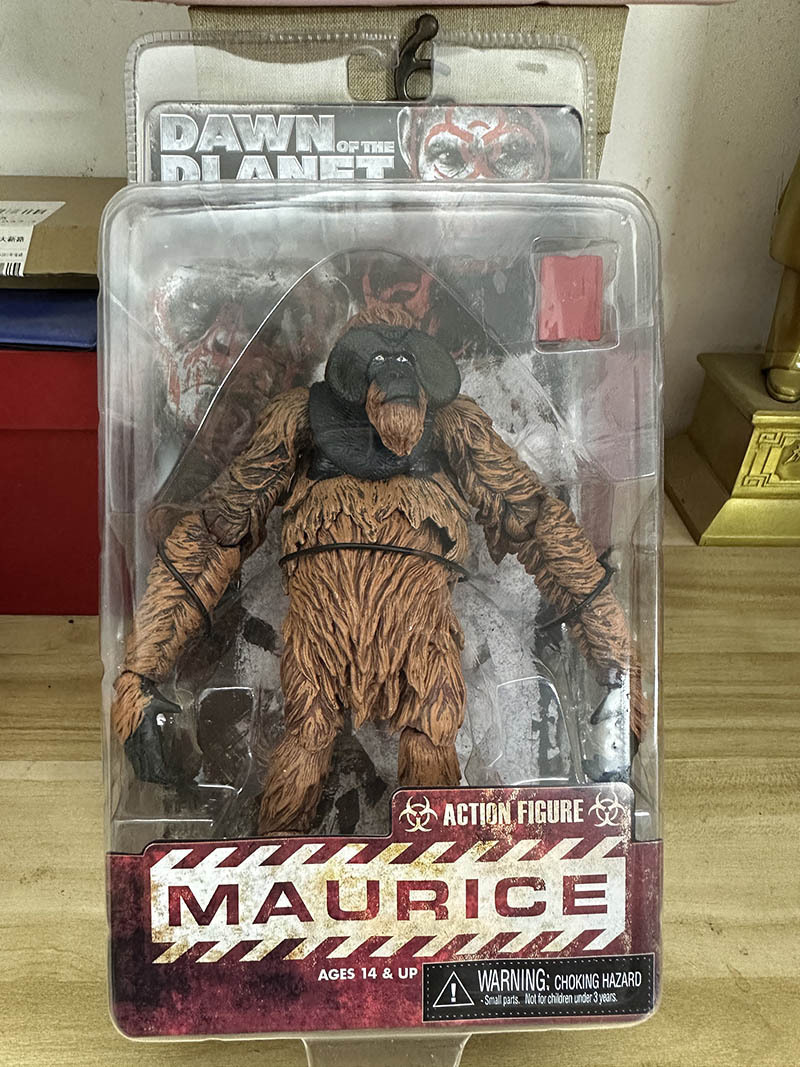 Mauricio