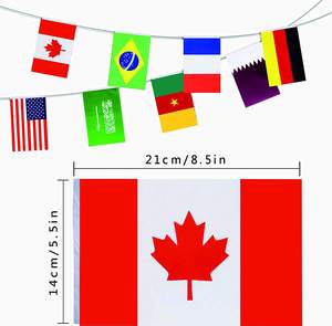 Flagnshow Custom 32 Países Cadena Bandera Bunting Banderín Banner 33 Pies (10 M) 32 Banderas de cuerda - Product Image 5
