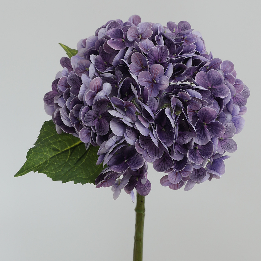 Deep Purple
