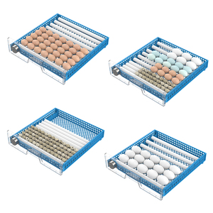 128 adet Incubadoras De Huevos Couveuse Oeuf Automatique yumurta kuluçka otomatik yumurta kuluçka - Product Image 3