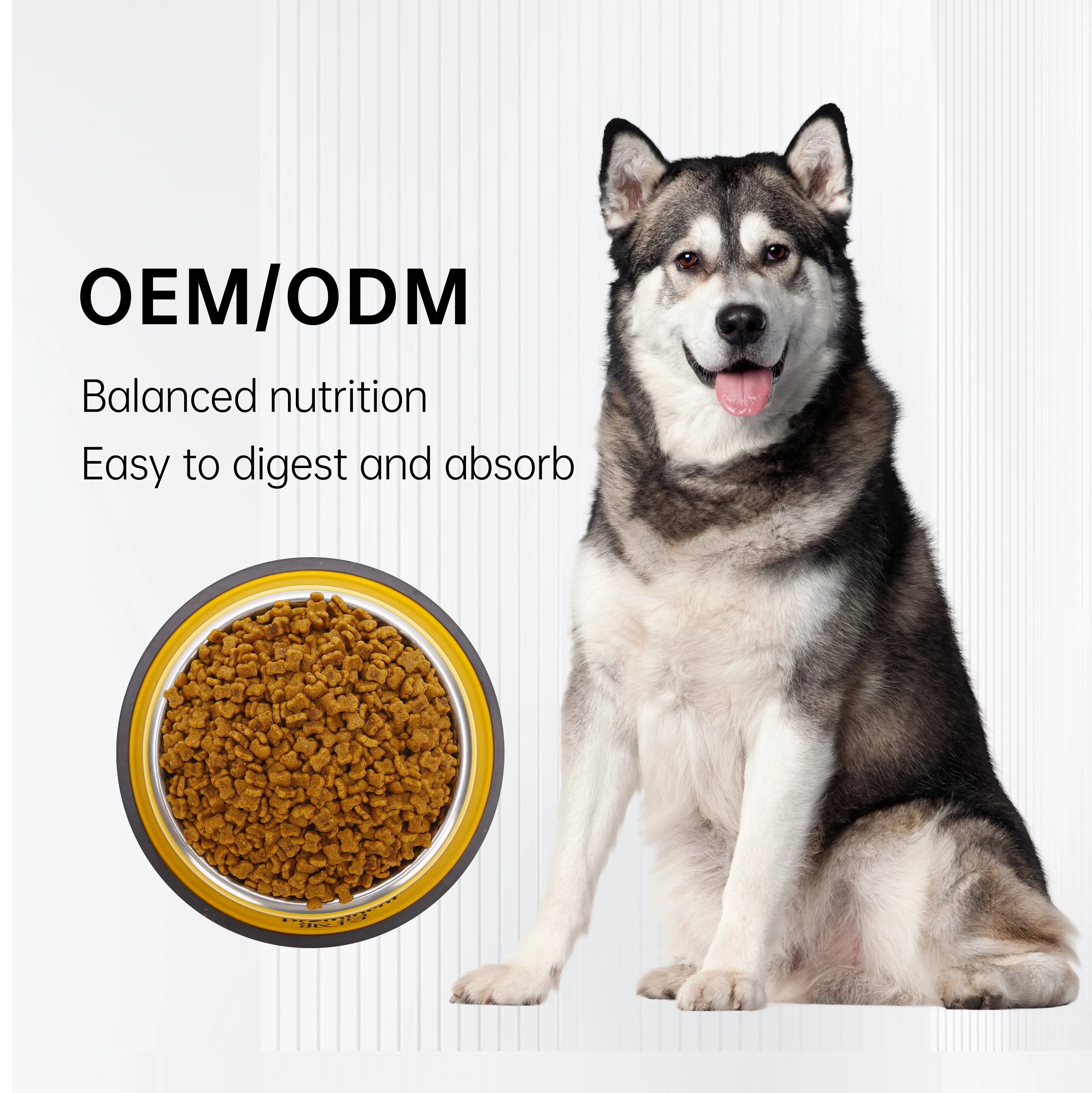 OEM ODM nutrizione all'ingrosso forme ossee 24% contenuto proteico cibo per cani per adulti prezzo più basso cibo secco per cani